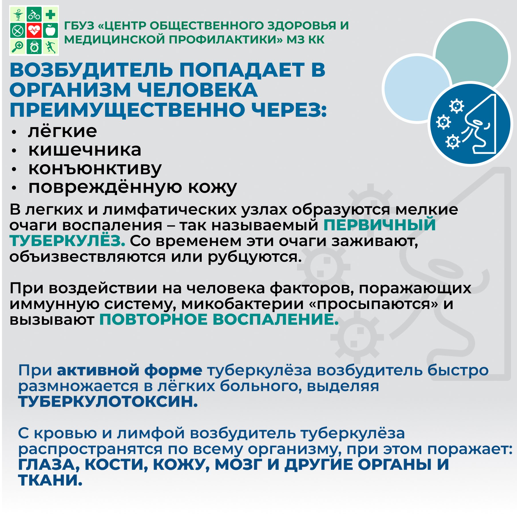 Как передаётся туберкулёз Источником заболевания обычно является больной туберкулёзом человек, который выделяет микобактерии в окружающую среду: с выдыхаемым воздухом при туберкулёзе лёгких, с гнойным отделяемым из раны при свищевой форме и с мочой при туберкулёзе мочевыделительной системы. Однако контакт с больным необязательно приведёт к развитию туберкулёза. Так, при длительном тесном бытовом (семейном) контакте заражаются 4–24 %. Для менее тесного общения эти показатели в 6–10 раз ниже. Источником заболевания также могут быть животные, больные туберкулёзом (как правило, крупный рогатый скот). Выделяют следующие пути заражения туберкулёзом: • Воздушно-капельный: при кашле, чихании, разговоре или пении. Бактерия выделяется вместе с капельками мокроты — крупные капли быстро оседают на поверхностях, а мелкие остаются во взвешенном состоянии в воздухе до 2–3 часов. • Воздушно-пылевой: микобактерии туберкулёза, выделяемые с каплями мокроты, оседают в почве и на поверхностях в помещении, где длительное время находится пациент. Затем эти капли высыхают и поднимаются в воздух в виде пылевой взвеси. Именно поэтому важно проводить влажную уборку палаты или квартиры, в которой находится пациент. • Контактный: палочка Коха накапливается на предметах, используемых пациентом. По этой причине необходимо уменьшить количество предметов обихода и убрать из помещения ковры, шерстяные пледы, мягкие игрушки и книги. • Вертикальный (внутриутробный): самый редкий вид заражения туберкулёзом, тем не менее передача инфекции от матери к плоду возможна. • Алиментарный: туберкулёзная микобактерия, попавшая в молоко или мясо животных, больных туберкулёзом, также может быть причиной инфицирования. По организму она распространяется через лимфатические узлы желудочно-кишечного тракта. Такой способ заражения чаще встречается в детском возрасте. Заражение туберкулёзом лёгких происходит преимущественно воздушно-капельным путём. При тесном бытовом контакте этот путь является доминирующим.