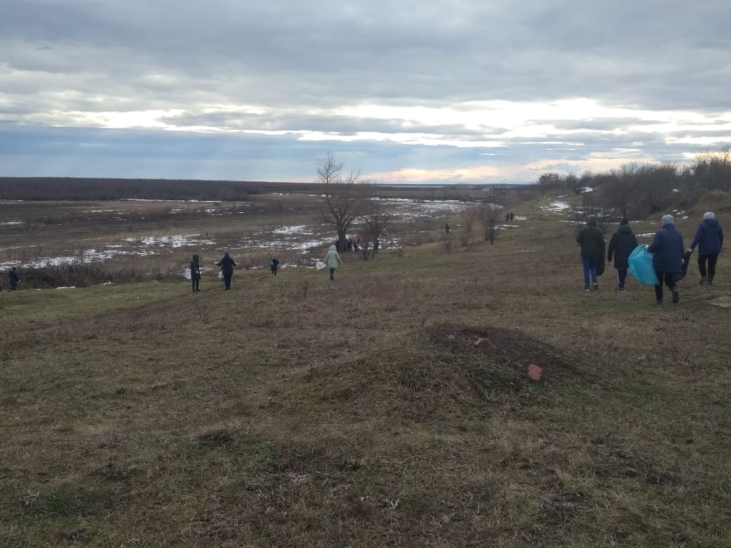 31.01.2021 г коллектив МБДОУ МО г Краснодар "Детский сад №227" принял участие в акции "Чистый берег"